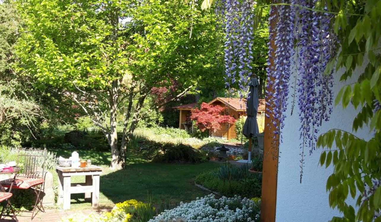 Gartenplanung Beispiel 3